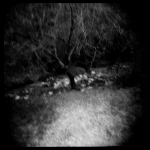 http://www.elcircodelamemoria.com/files/gimgs/th-61_Fm024_holga014_03.jpg