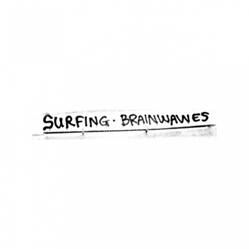 http://www.elcircodelamemoria.com/files/gimgs/th-61_surfing-brainwaves.jpg