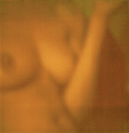 http://www.elcircodelamemoria.com/files/gimgs/th-62_room polaroids13.jpg