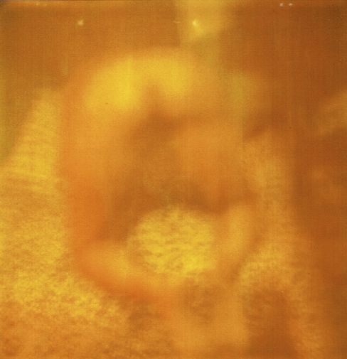 http://www.elcircodelamemoria.com/files/gimgs/th-62_room polaroids07.jpg